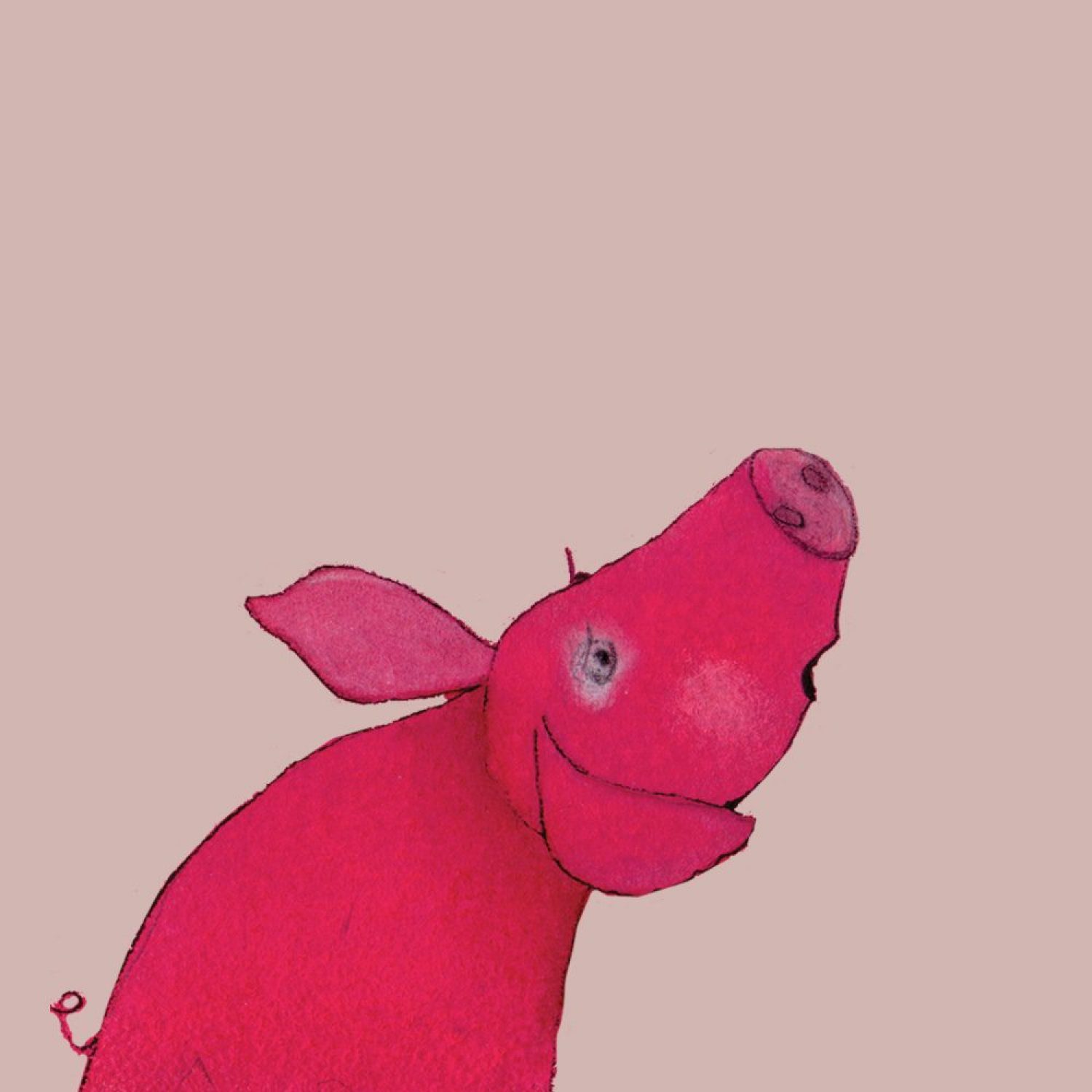 dominika-przybylska-kinder-illustration-baby-pig-02